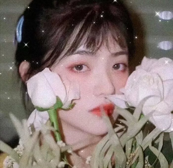 宝藏寻踪